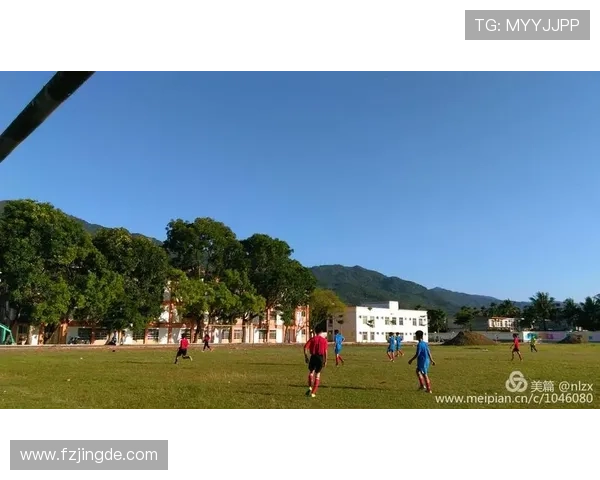 探秘查尔顿俱乐部的百年荣光与现代足球精神传承之路 探秘查尔顿俱乐部的百年荣光与现代足球精神传承之路