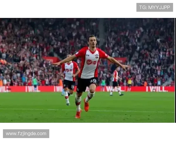 南安普顿足球俱乐部的历史发展与未来前景分析 南安普顿足球俱乐部的历史发展与未来前景分析