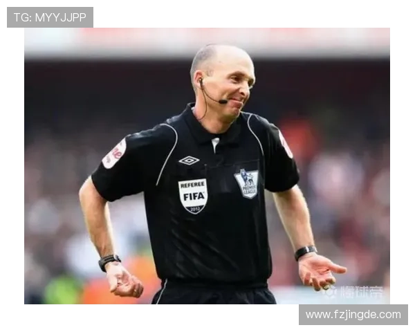 斯旺西俱乐部积极引援谋求重返英超展现重建雄心 斯旺西俱乐部积极引援谋求重返英超展现重建雄心